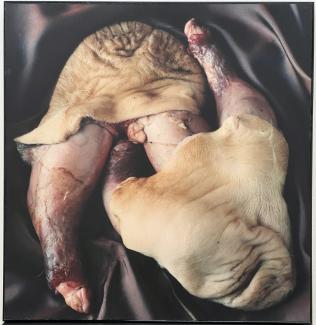 Tjurpungar 2, 71 x 70, 1994